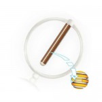 Спираль внутриматочная, Юнона био-Т  тип 2 кольцеобразная серебро